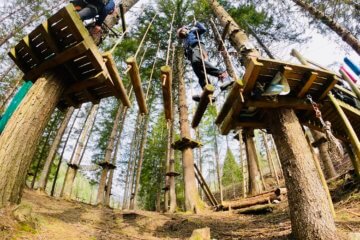 Parco avventura forni di sopra